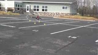 Blade 450 3D 1st Hover