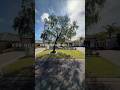 For Sale | 260 Norton Promenade Dalyellup | Property Tour Tim Cooper Summit Realty South West