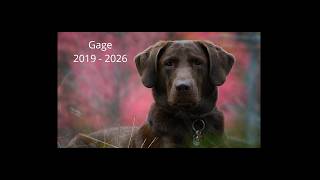 Raphoe Dock & Farewell to Gage