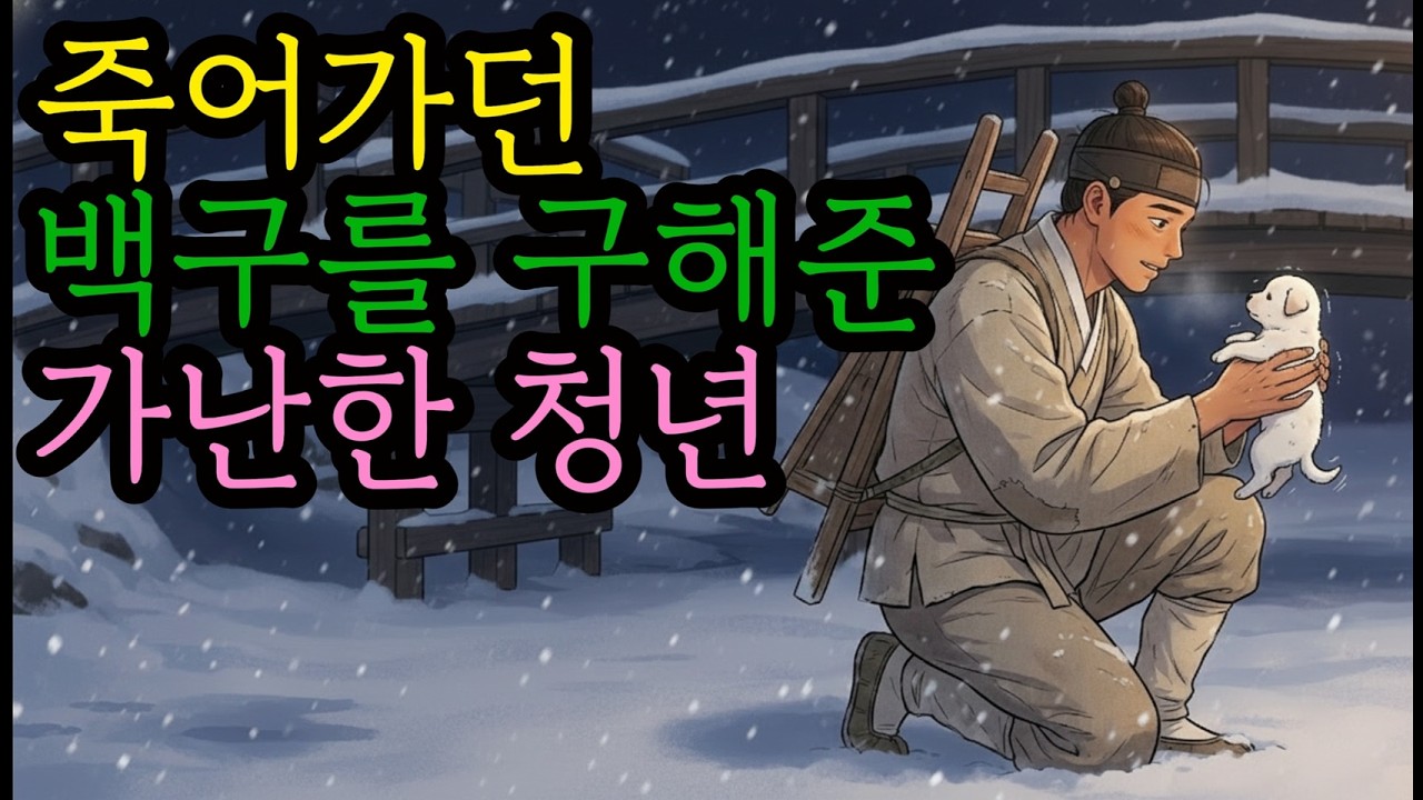 죽어가던 백구를 구해준 가난한 청년  |야담|만담 |전설|옛날이야기|오디오북|수면동화|민담