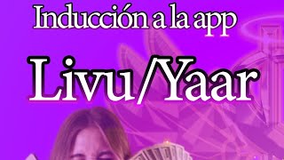 Induccion livu y yaar@Angelsagencyoficial #agencia #dinero #streamer #livestream #trabajovirtual