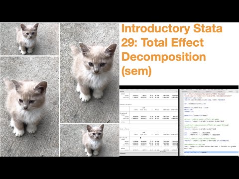 Introductory Stata 29: Total Effect Decomposition (sem)