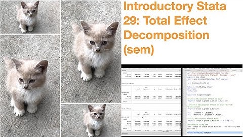 Introductory Stata 29: Total Effect Decomposition (sem)