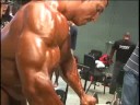 promise rings Tampa Bay Pro Bodybuilding: Marcos Chacon