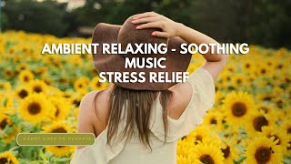 RELAXING AMBIENT SOOTHING MUSIC LIVE BY HARRY GOES TO PUPPETS-STRESS RELIEF