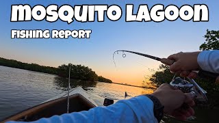 Mosquito Lagoon Fishing Report