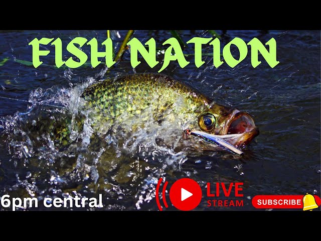 FISH NATION LIVE 