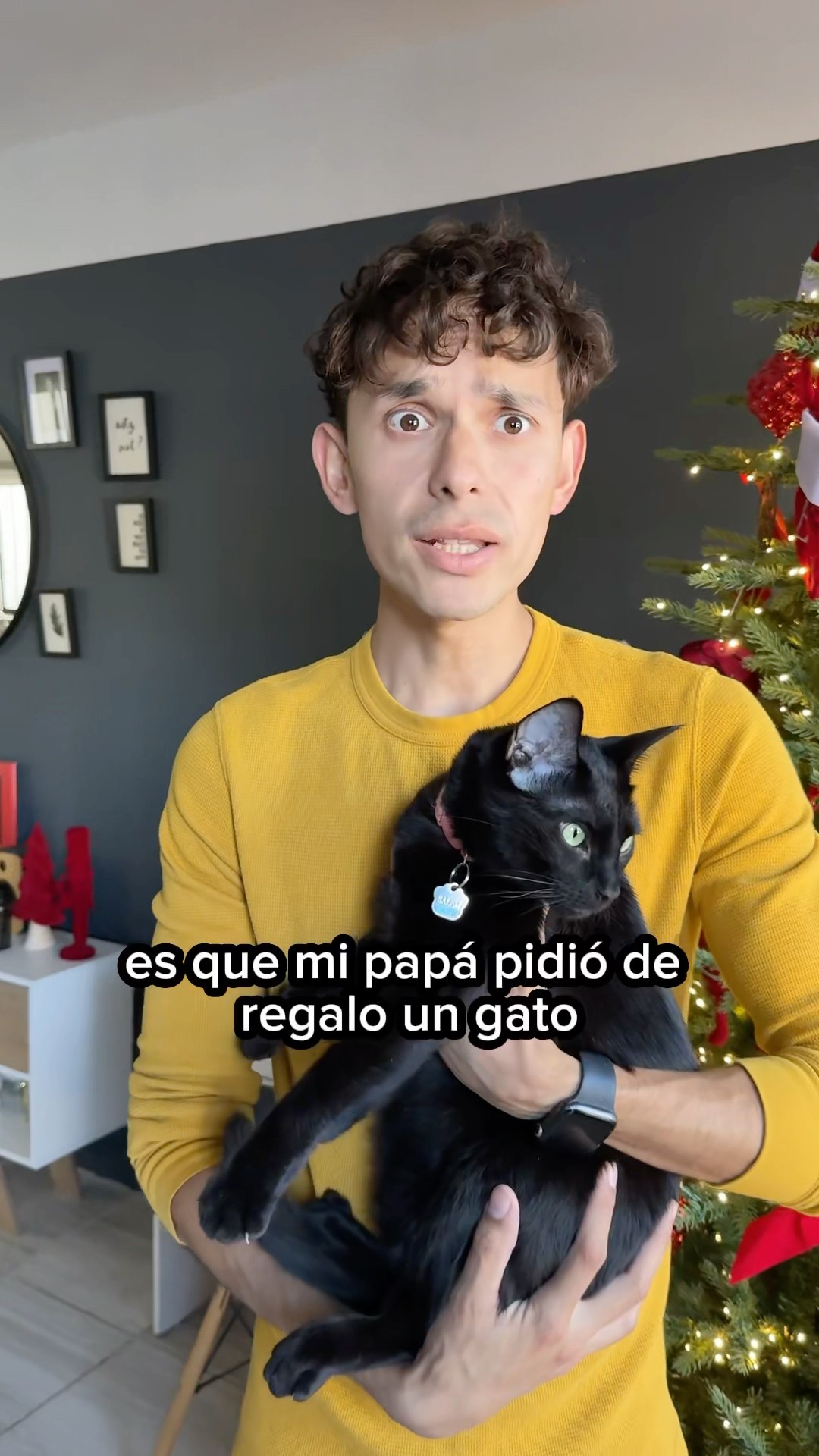 Pobre Salem ? #holidayswithshorts