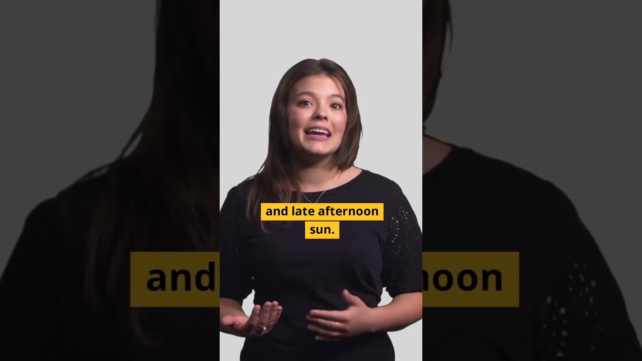 How can you reduce your home s temperature while beautifying your landscape?