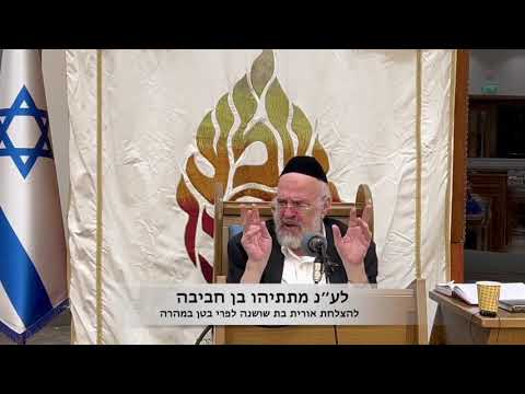 מהות יום ראש השנה - הרב רוזנבלום בשיעור מאתמול ערב ראש השנה תשפ״ה!