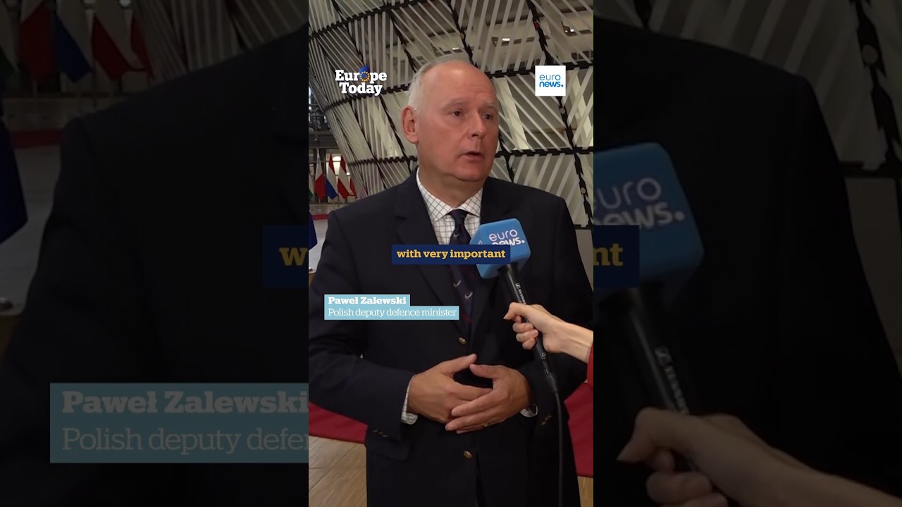 Polish minister: "I'm interested in Palantir's products, not ideology"