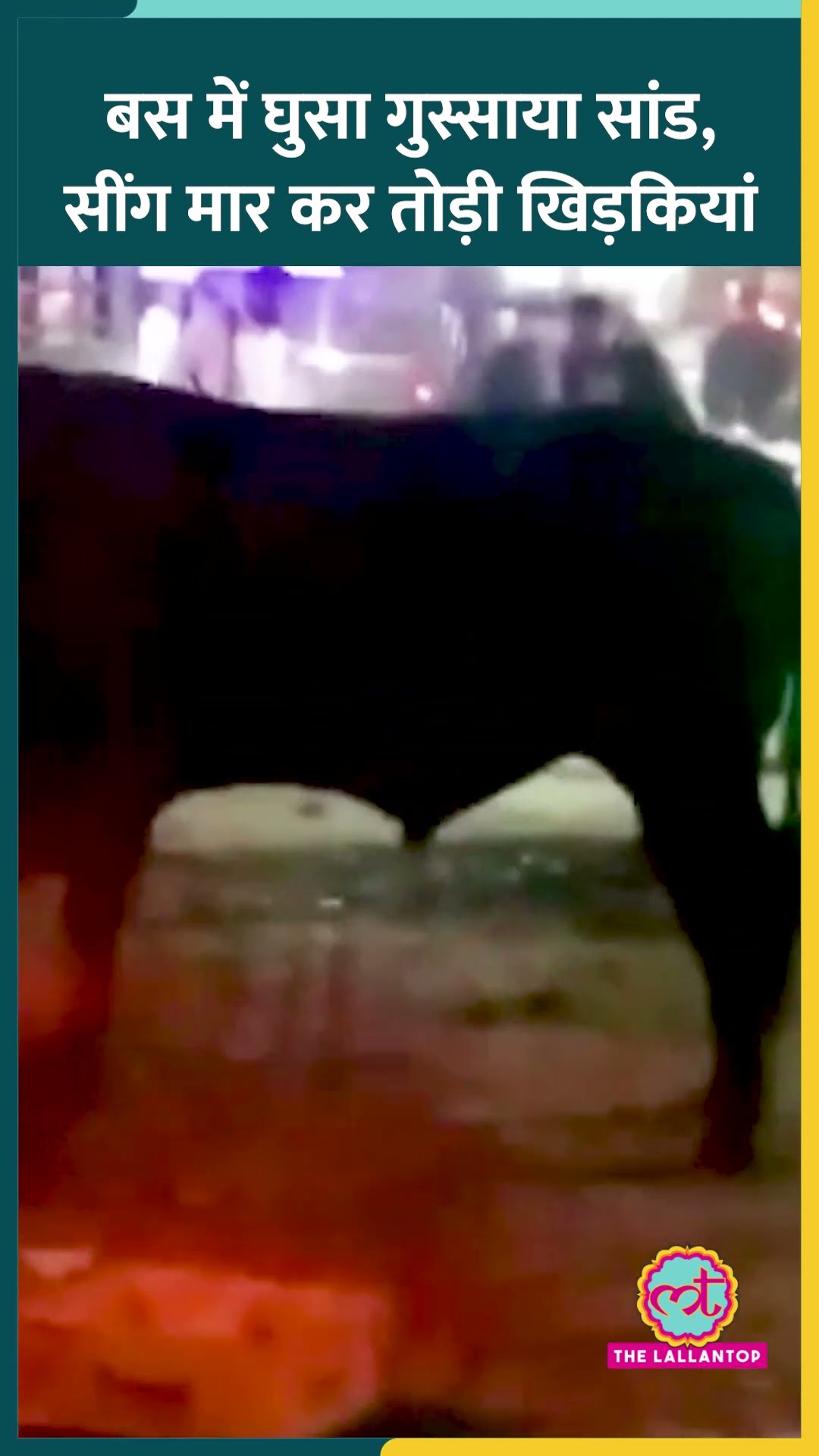 गुस्साया सांड बस में घुसा, सींग से फोड़े कांच, जान बचाने भागे ड्राइवर और कंडक्टर #Shorts