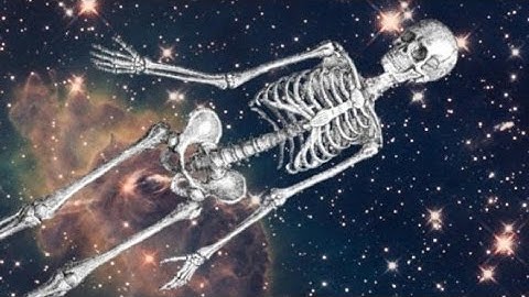 Another SM64 Importer.