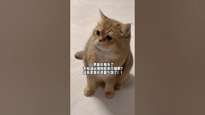 男朋友喝多了不知道在哪又抱只猫啊？ - 天天要闻