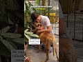 El Último día en la Tierra 🐶💔😭 #youtubeshorts