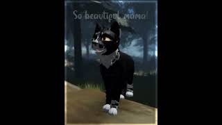 Perfect.. #wcue #warriorcats #Roblox
Perfect.. #wcue #warriorcats #Roblox Perfect.. #wcue #warriorcats #Roblox