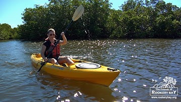 Rookery Bay Guided Kayak Tours
