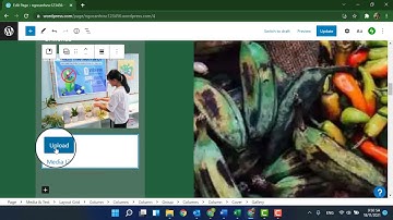 Tạo album ảnh cho website trên Wordpress
