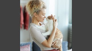 Lofi Pet Serenity Pulse
