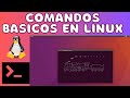 APRENDE LOS COMANDOS MAS USADOS EN LINUX