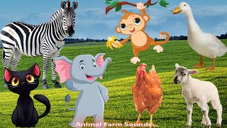 The Lives Of Familiar Animals: Chicken, Duck, Cat, Elephant, Horse - Animal sounds by Animal Farm Sounds 7,890 views 7 days ago 32 minutes