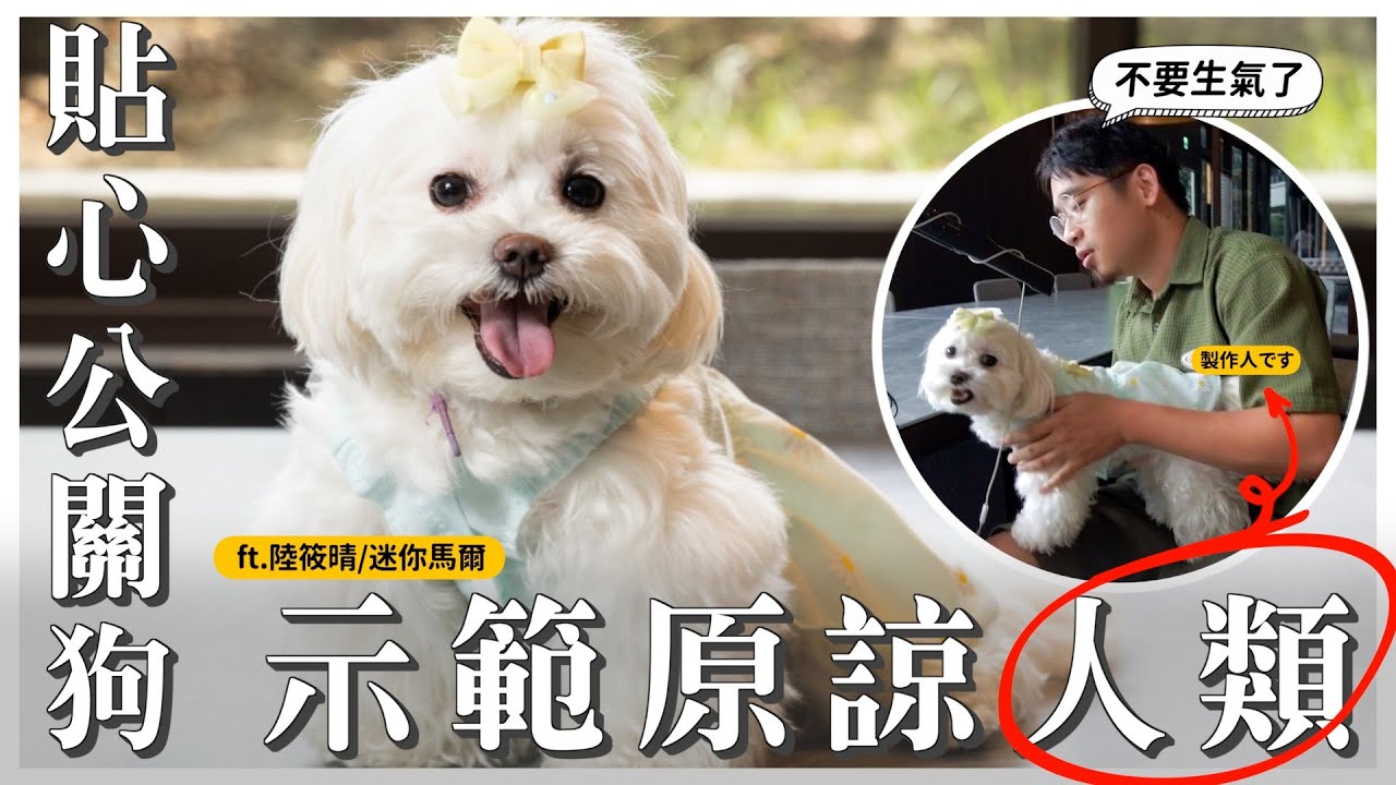 熊爸說：這狗狗百年難得一見好個性！什麼意思！？ft. @sunnie0111  ｜熊爸估狗