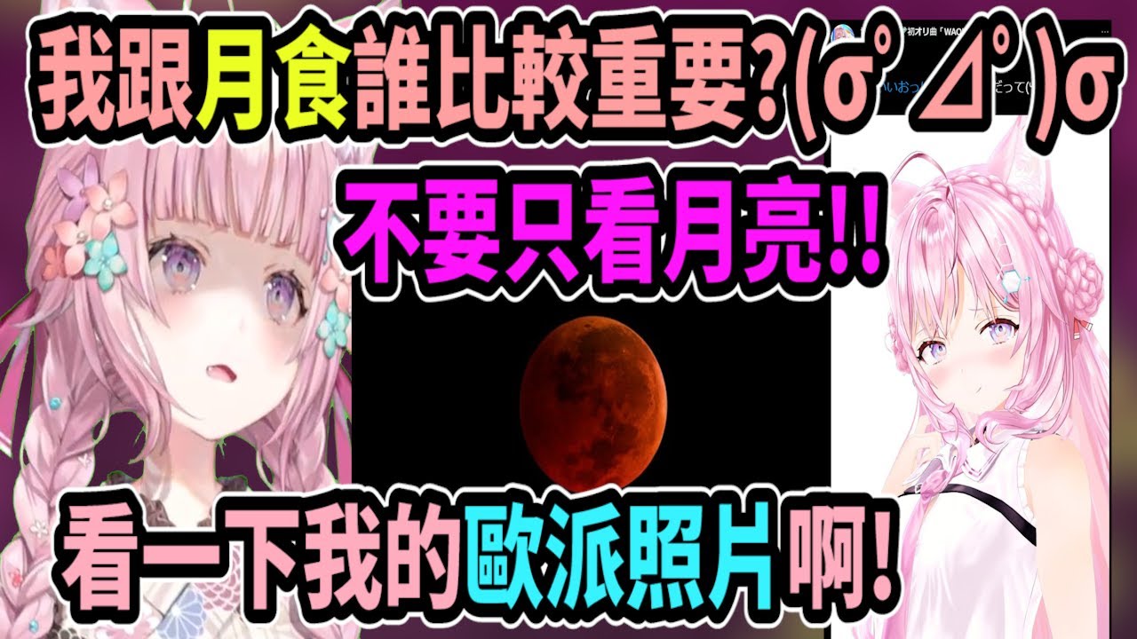 Koyori問觀眾「我的直播跟月食哪個比較重要?!」 不要顧著看月亮啦! 也看一下郊狼的歐派推特吧!【hololive中文】 【Vtuber精華】 【博衣こより】【holoX】
