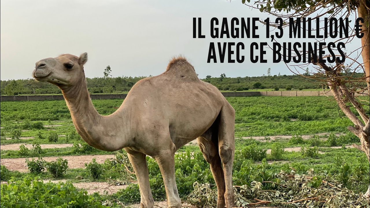 Il gagne 1,3 million € avec sa ferme au pays. Il a eu raison d'arrêter le football.