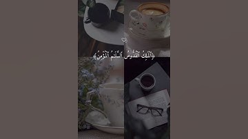 سورة الحشر _ الشيخ ماهر المعيقلي .