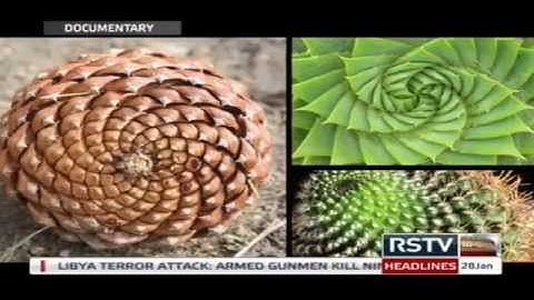 The Maths Factor - Fibonacci and his magical sequence