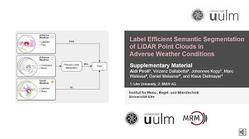 Label-Efficient Semantic Segmentation of LiDAR Point Clouds in Adverse Weather Conditions