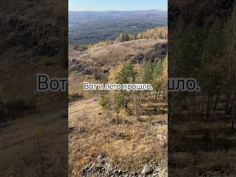 #motivation #жизнь #рекомендации #любовь #live #топ #цитатыпрожизнь #рекомендации #успех #лето #лес
