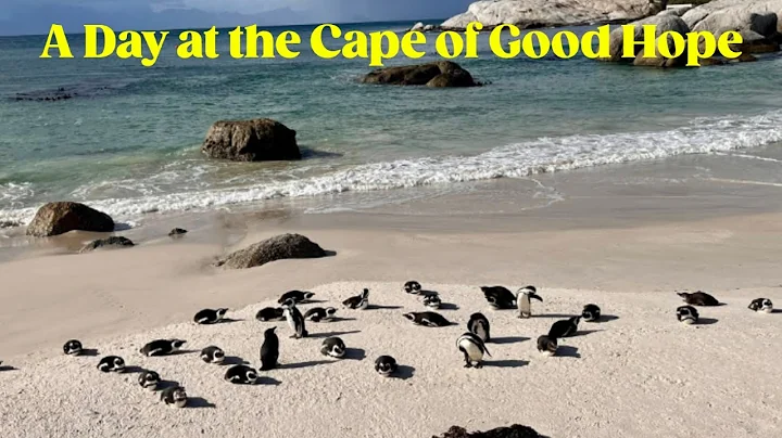 A Day at the Cape of Good Hope