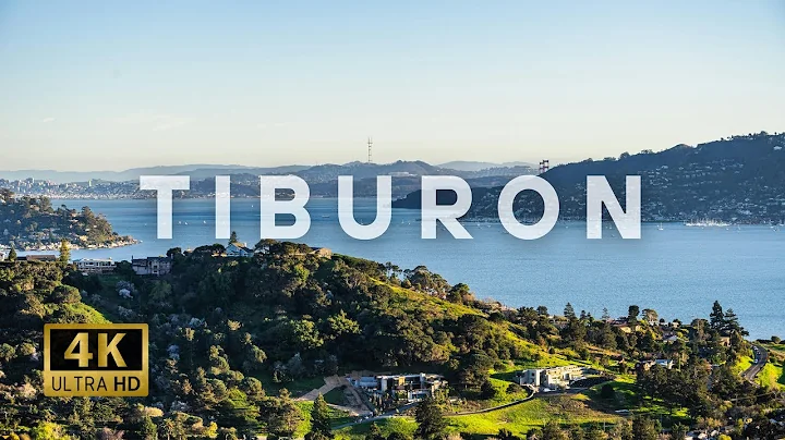 Tiburon, CA: The Hidden Gem You Didn't Know About | 4K UHD