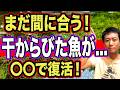 【プロが教える】飛び出した魚の”正しい対処＆回復を早める餌”！