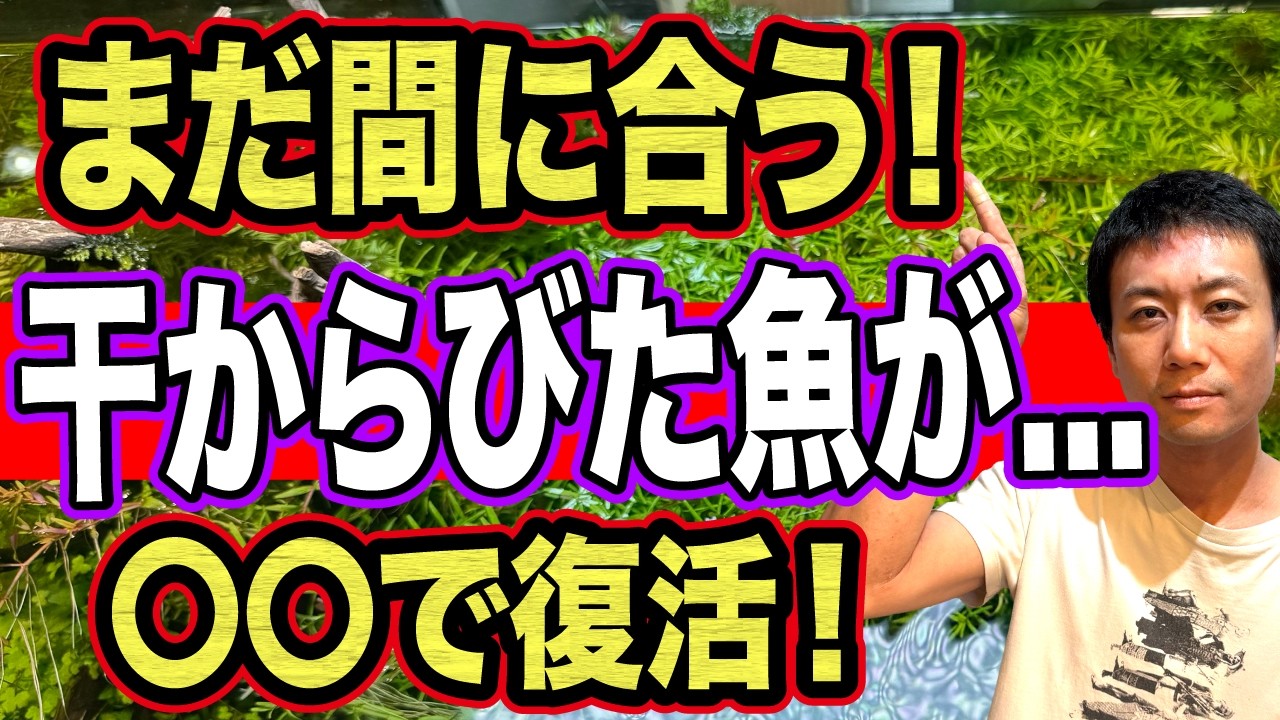 【プロが教える】飛び出した魚の”正しい対処＆回復を早める餌”！