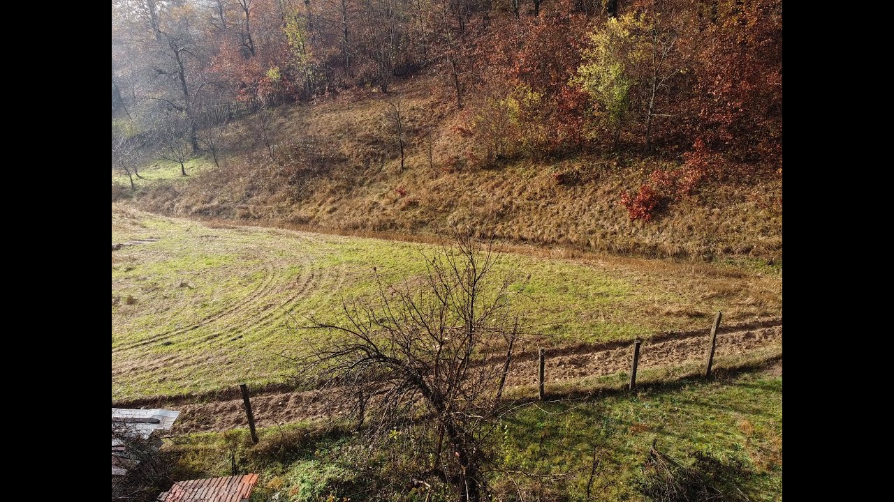 Pesteana Vulcan in November 2025