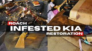 Restoring an Infested Abandoned Kia | Insane Interior Restoration