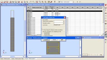 Design RC Column using Robot Structural Analysis