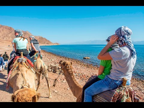 ЕГИПЕТ ЗИМОЙ / ЭКСКУРСИЯ 5 в 1 / АБУ ГАЛУМ,ГОЛУБАЯ ДЫРА,КВАДРОЦИКЛЫ,ВЕРБЛЮДЫ / ПЕРВАЯ ЧАСТЬ