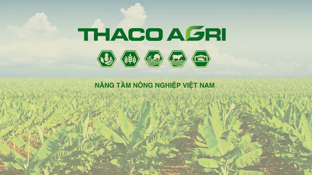 Outline Video CÔNG TY CỔ PHẦN NÔNG NGHIỆP TRƯỜNG HẢI - THACO AGRI