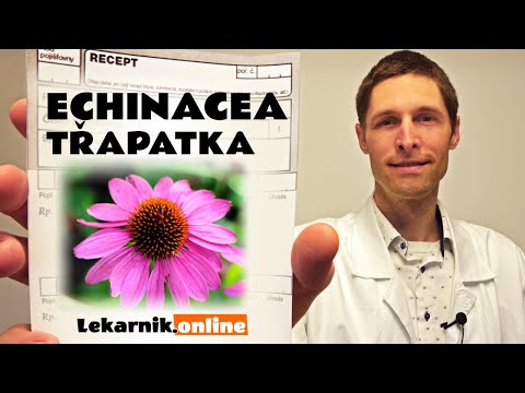 Video: 10 Nebezpečných Vedlejších účinků Echinacey