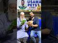 Comment me sahi batao gift 🎁 le jao ❤️ #trending #talkingparot #nonstoptalkingparrot #usamapets