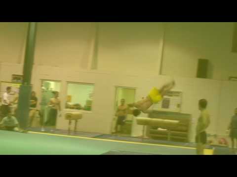 2009 Michigan Men's Gymnastics Intrasquad