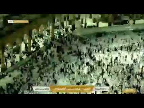 الجزء الاول من سورة البقرة بصوت الشيخ المعصراوي رواية رويس عن يعقوب