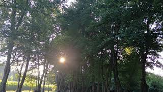 Today's Devotion 8.5.26 Our God is Able