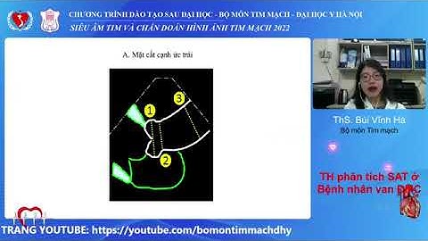 THỰC HÀNH PHÂN TÍCH HÌNH ẢNH SIÊU ÂM TIM BỆNH VAN ĐỘNG MẠCH CHỦ | ThS. BS. Bùi Vĩnh Hà