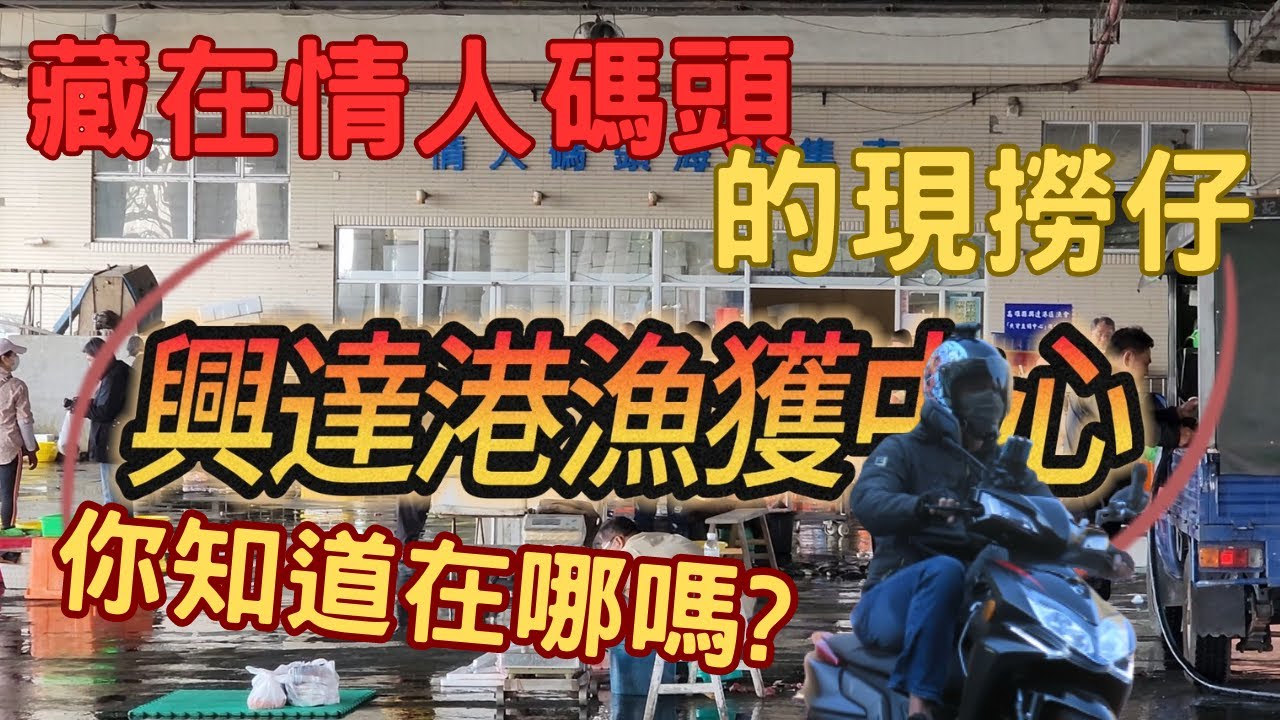 〔興達漁港現撈漁貨〕藏身在情人碼頭的現撈仔漁港xingda fish port in taiwan kaohsing(cc english)一婁竹莢魚只要200代殺只要10元，火燒蝦買來撥蝦仁。／台語