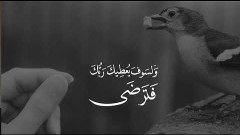 سورة الأعلى القارئ محمد البخيت