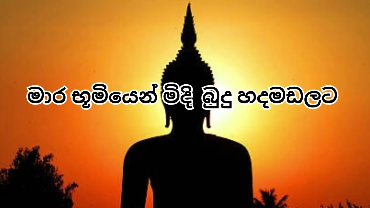 මාර භූමියෙන් මිදි බුදු හදමඩලට